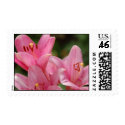 Pink Lilies Postage postage by pulsDesign Pink Lilies Postage postage