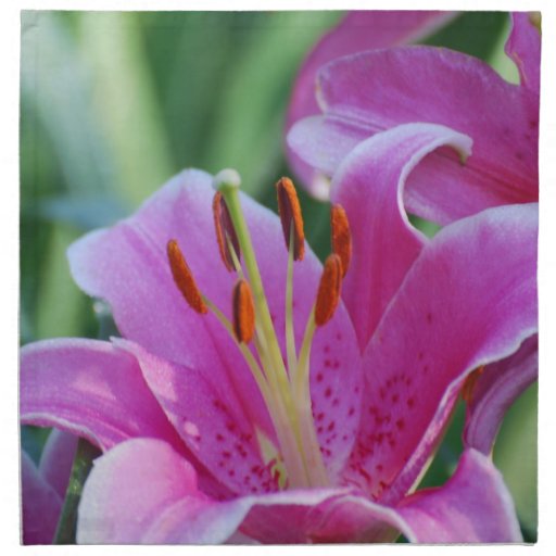 Pink Lilies Set of Four Napkins