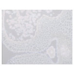 Pink Lillium, flower, mature anthera, the male org letterhead