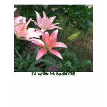 pink lilly, I'd rather be gardening! t-shirts