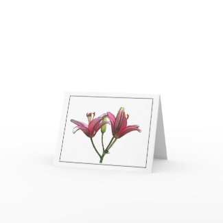 Pink Lily Botanical Note Card