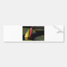 Pink Lily Bud Bumper Stickers