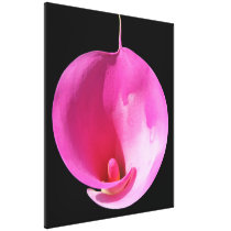 Pink lily canvas prints