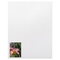 Pink lily close up pretty colorful flower photo letterhead