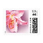 Pink Lily custom postage (Sml)