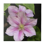 Pink Lily Decorative Tile