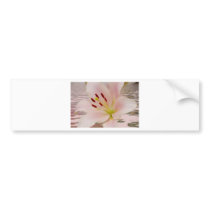 Pink Lily Floral art Bumper Sticker