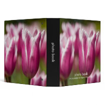 Pink Lily-flowered Tulip Binders