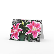 Pink Lily Flowers Greeting Cards