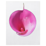 Pink lily flyers