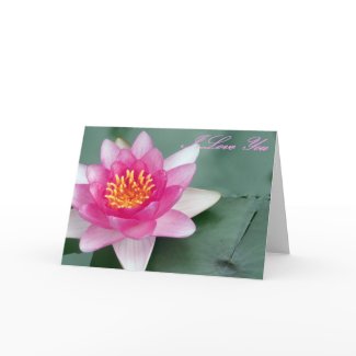 water lily greeting card