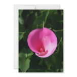 Pink lily personalized invitation