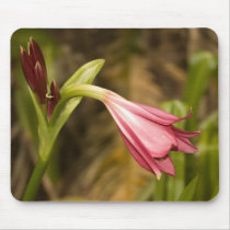 Pink Lily Mousepad by LivingLife Pink Lily Mousepad