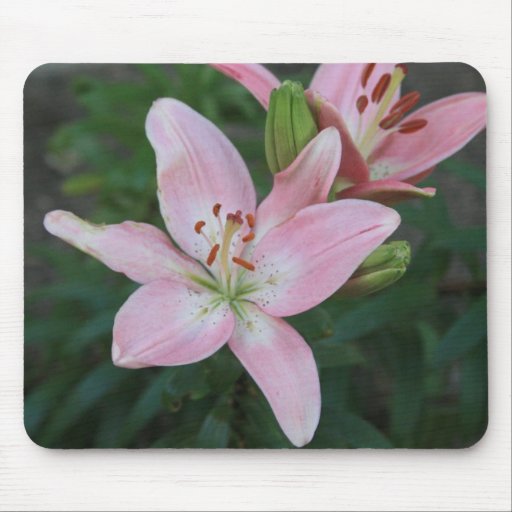 Pink Lily Mousepad