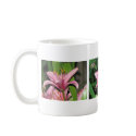 Pink Lily mug