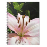 Pink Lily Notebook
