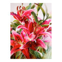 Pink Lily Original Botanical Print Canvas Poster by michelleys Pink Lily Original Botanical Print Canvas Poster