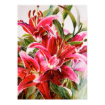Pink Lily Original Botanical Print Canvas Poster