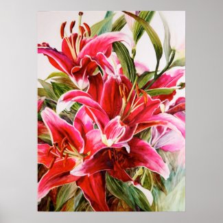 Pink Lily Original Botanical Print Canvas Poster print