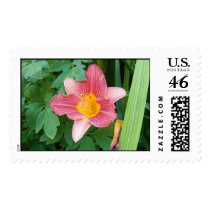 Pink Lily postage