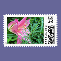 pink lily stamps