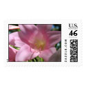 Pink lily postage