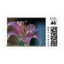 Pink Lily postage by jodi_tripp Pink Lily postage