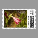 Pink Lily Postage stamps