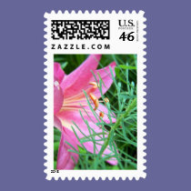 pink lily stamps