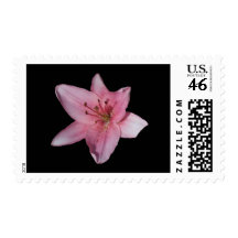 Pink Lily Postage