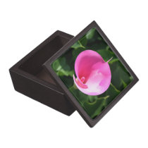 Pink lily premium gift boxes