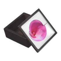 Pink lily premium gift boxes