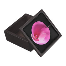 Pink lily premium gift boxes