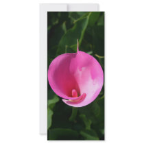 Pink lily rack card template