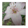 Pink Lily Tile