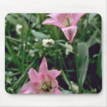 Pink Lily Tulips flowers Mouse Pad