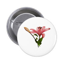 Pink Lily With Bud buttons