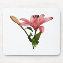 Pink Lily With Bud mousepads