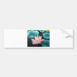 pink lotus 2 bumper stickers