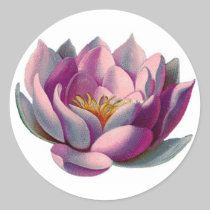 Pink Lotus Blossom stickers