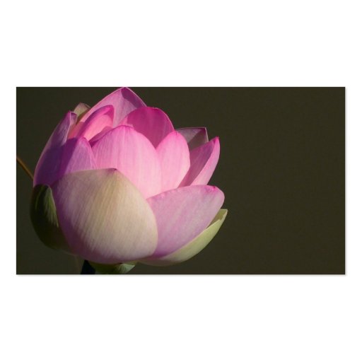 Pink Lotus Business Card (back side)