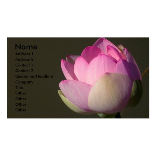 Pink Lotus Business Card (front side)