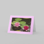 Pink Lotus cards