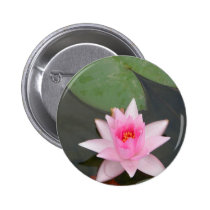 Pink Lotus Flower buttons