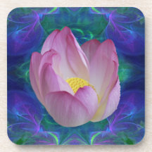 Pink lotus flower and meaning coaster