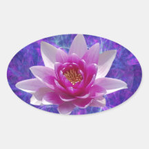 Pink lotus flower and meaning oval sticker