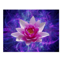 Pink lotus flower and meaning postcards