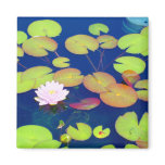 Pink Lotus Flower floating with lily pads on pond Magnets