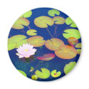 Pink lotus flower floating with lily pads on pond magnet