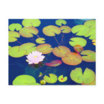 Pink Lotus Flower floating with lily pads on pond Postcard